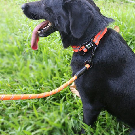 BARKELLE™ GlowSafe LED Dog Collar – USB Rechargeable Reflective Safety Collar for Night Walks