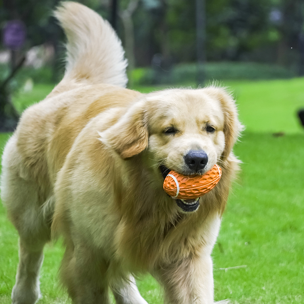 BARKELLE™ Durable Rugby Dog Toy – Tough Chew Ball for Boredom Relief & Interactive Play