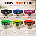 LED Dog Collar