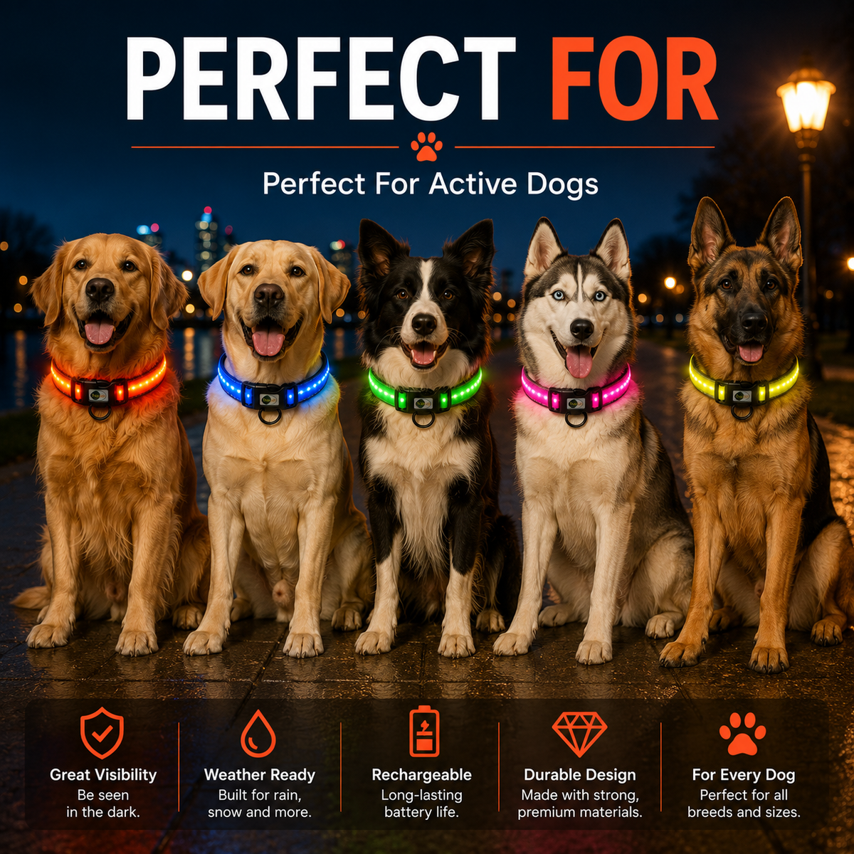 LED Dog Collar